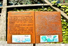 Botanical Garden (Orto Botanico) of Padua - Botanical Garden (Orto Botanico), Padua: The information boards in braille allows blind people to recognize the plants by smelling and...