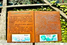 Botanische Tuin van Padua - In de Botanische Tuin van Padua staan bij de planten ook borden met uitleg in brailleschrift, dit stelt blinden in staat planten te herkennen door...