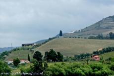 Alto Douro wijnstreek - De Alto Douro is een voorbeeld van traditionele wijnbouw. Sinds de 18de eeuw is port de meest bekende wijn ter wereld, port is...