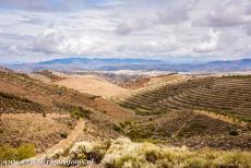 Alto Douro wijnstreek - Alto Douro wijnregio: De wijngaarden zijn langs de Douro aangelegd in terrassen. Sinds de 18de eeuw is portwijn het belangrijkste product van...