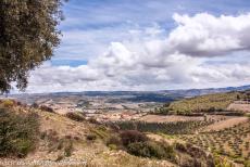 Alto Douro Wine Region - Alto Douro Wine Region: The landscape of the Alto douro is situated along the River Douro and its tributaries, the landscape consists of terraced...